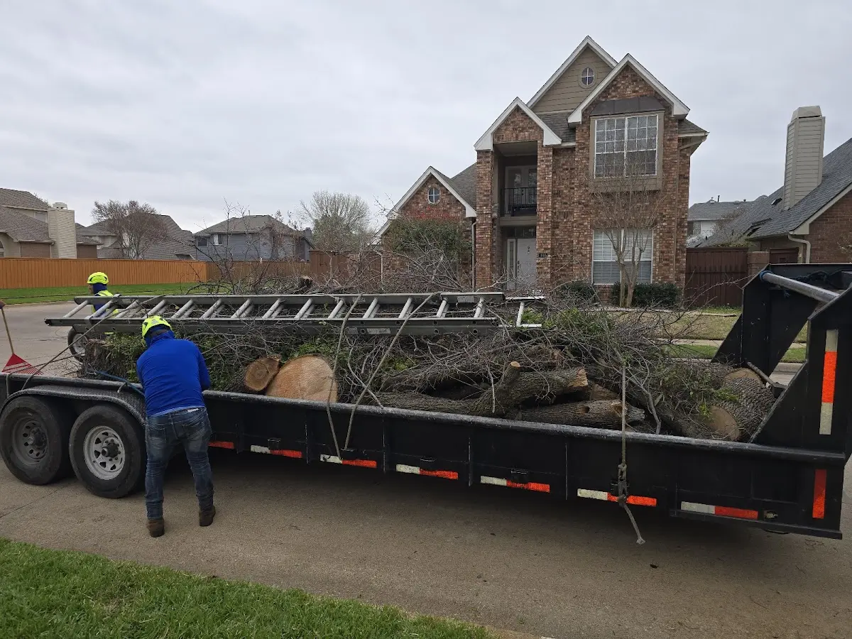 Expert Tree Removal with proper safety equipment in Elizabeth
